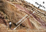 الطباقية الحياتية Biostratigraphy